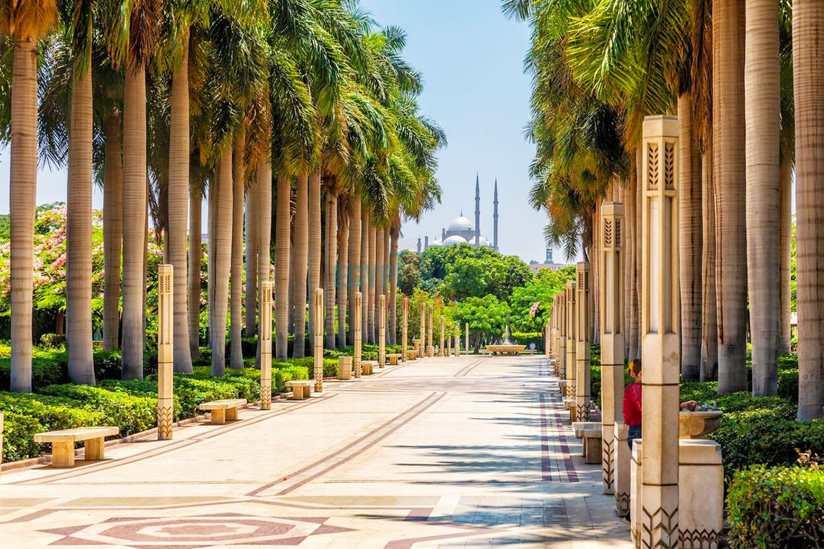 من «ضفاف النيل» إلى «خضرة الأزهر» بهجة عيد الأضحى تُضيء قلب القاهرة - إيجي إن