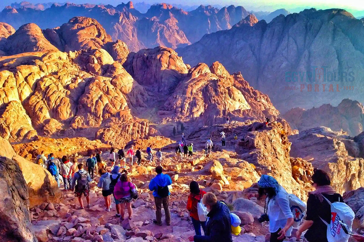 من «الزراعة» إلى «السياحة» ، مشروعات بالمليارات لتحقيق التنمية في سيناء - إيجي إن