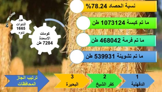 حصاد ٧٨٪ من المساحات المنزرعة بمحصول الأرز وإ نتاج ٧٢٠٠ طن أسمدة عضوية