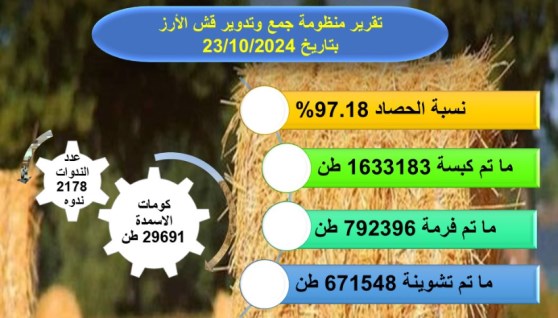  الزراعة: حصاد 97% من محصول الأرز وإنتاج أكثر من 29 ألف طن أسمدة عضوية