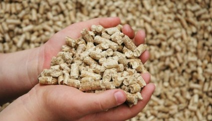 اعلاف الدواجن