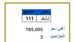 مزاد على لوحة مميزة بـ 185 ألف جنيه