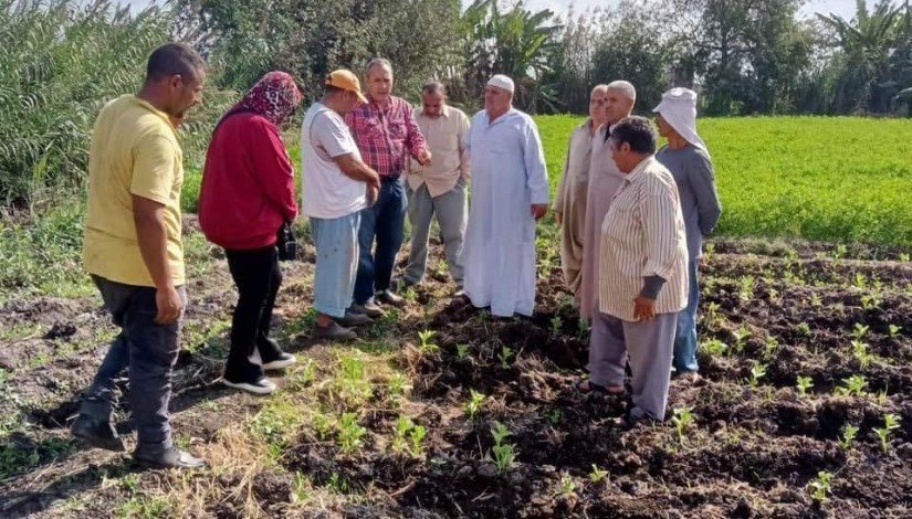 حصاد أنشطة مبادرة المراكز الإرشادية خلال النصف الأول من شهر نوفمبر 