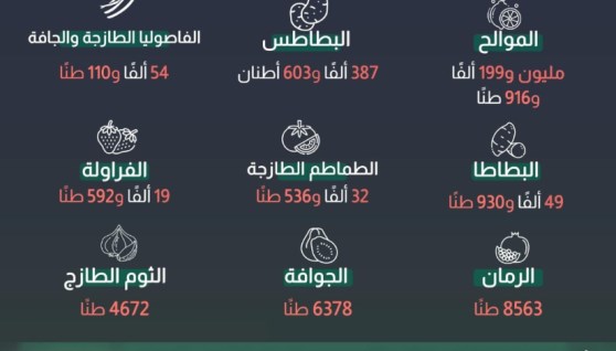 صادرات مصر الزراعيه 