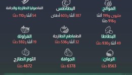 صادرات مصر الزراعيه 