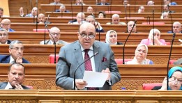  خالد علام ممثل الجهاز المركزي للمحاسبات