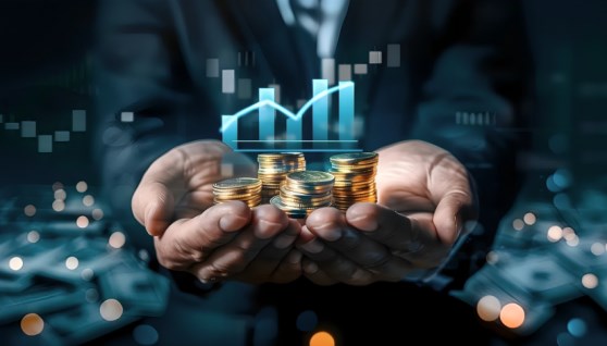 إدارة الثروات