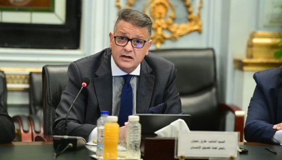 النائب طارق رضوان رئيس لجنة حقوق الإنسان بمجلس النواب النائب طارق رضوان رئيس لجنة حقوق الإنسان بمجلس النواب