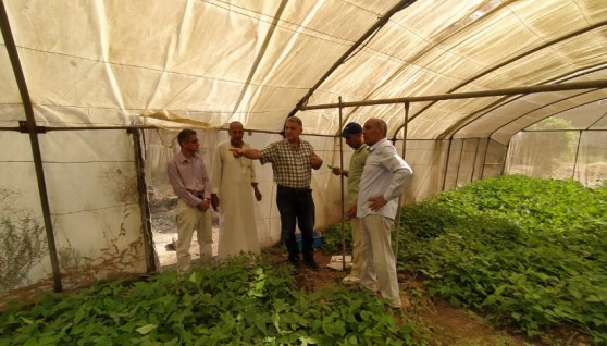 المرور على الزراعات