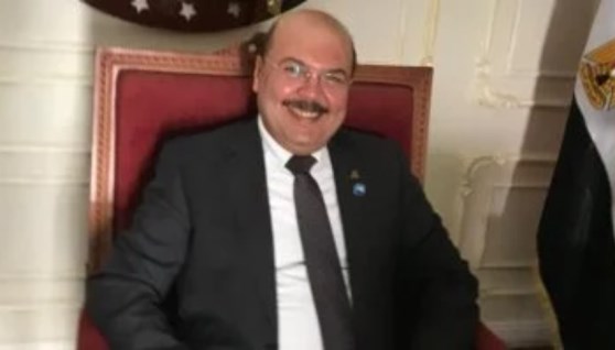 النائب ميشيل الجمل-  عضو لجنة الصناعة بمجلس الشيوخ