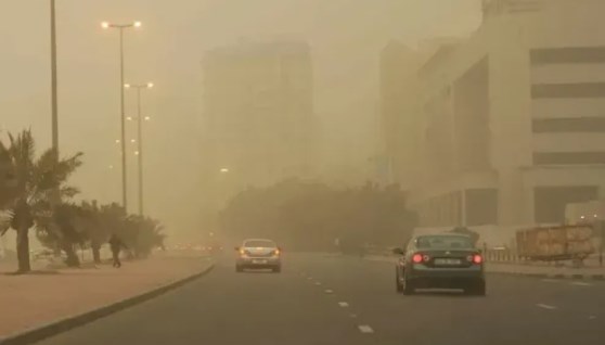 نشاط رياح  نشاط رياح