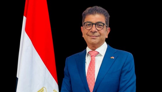 ماجد سعد رئيس المنظمة المصرية الألمانية