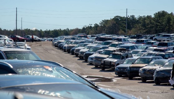 مزاد لبيع سيارات جهات حكومية