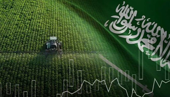 الزراعة السعودية تشهد توسعًا قياسيًا يزيد عن 120% الزراعة السعودية تشهد توسعًا قياسيًا يزيد عن 120%