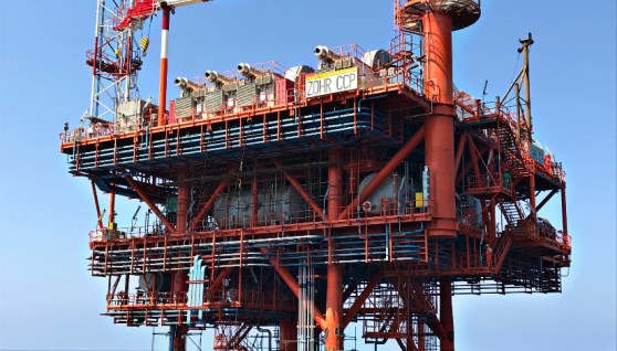 حقل ظهر- أرشيفية