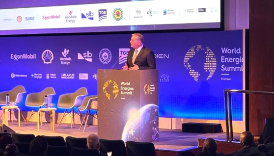 وزير البترول وزير البترول