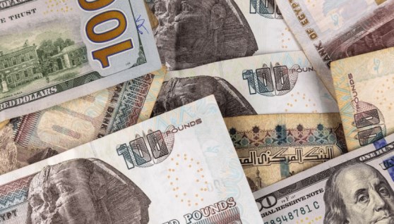 الجنيه المصري الجنيه المصري