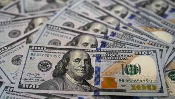 سعر الدولار 