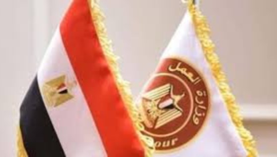 وزارة العمل المصرية وزارة العمل المصرية
