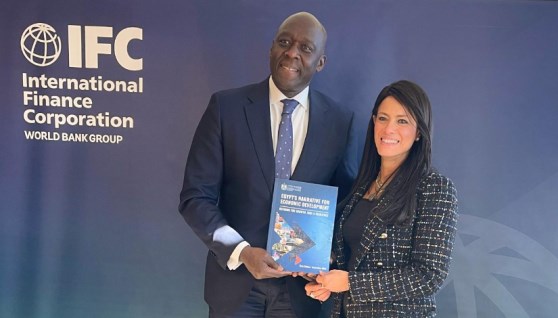 المشاط تشير إلى آلية ضمانات الاتحاد الأوروبي  المشاط تشير إلى آلية ضمانات الاتحاد الأوروبي