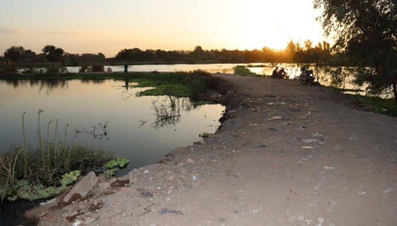 الأراضي المطلة على نهر النيل في المنوفية