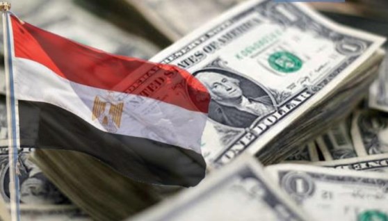 علم مصر والدولار
