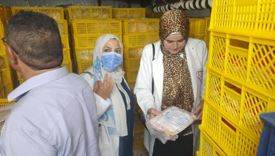 جانب من حملات التفتيش جانب من حملات التفتيش