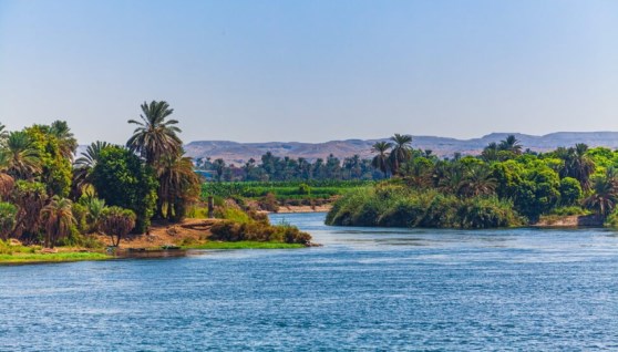 نهر النيل