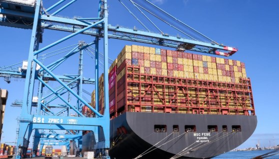 ميناء دمياط  ميناء دمياط