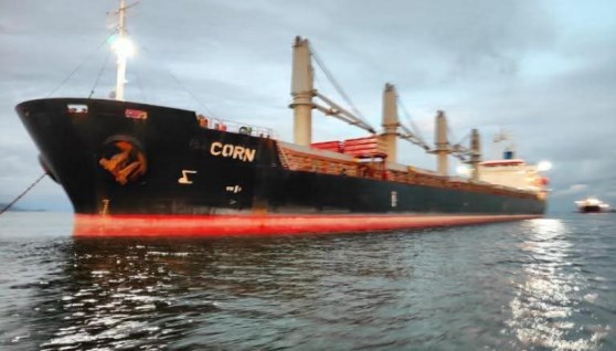 موانئ البحر الأحمر اليوم  موانئ البحر الأحمر اليوم