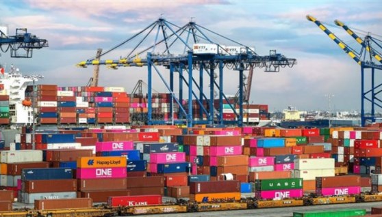 المستوردين المستوردين