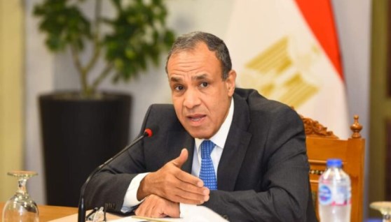 الدكتور بدر عبد العاطي وزير الخارجية 
