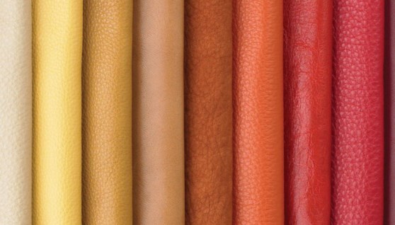 جلود صورة- أرشيفية 