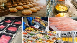 صناعة الأغذية