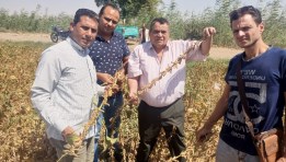 جانب من الزيارات الميدانية