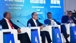 الدكتور بدر عبد العاطي وزير الخارجية والهجرة