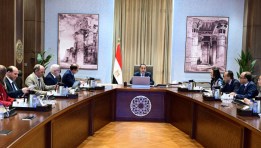 مجلس الوزراء