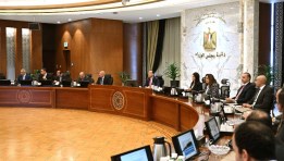 اجتماع اللجنة العليا لشئون المشاركة