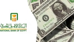تفاصيل شهادات الادخار الدولارية 