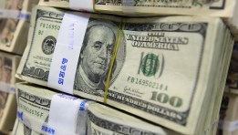 سعر الدولار اليوم