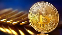 البيتكوين  البيتكوين