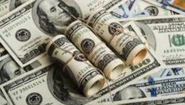 الدولار الأمريكي الدولار الأمريكي