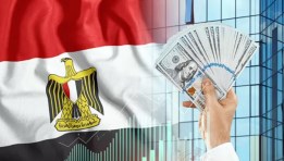 الاستثمار الأجنبي