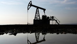 النفط النفط