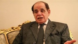 الدكتور صلاح فوزي أستاذ القانون الدستوري الدكتور صلاح فوزي أستاذ القانون الدستوري