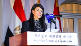 جانب من كلمه وزيرة التخطيط خلال الاحتفال