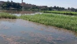 أراضي طرح النهر 