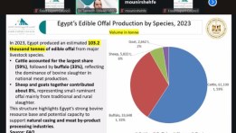  المجلس التصديري للصناعات الغذائية