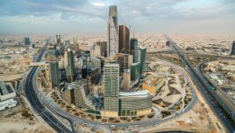 أنواع الاستثمار في المملكة العربية السعودية