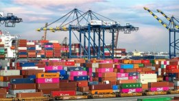 المستوردين المستوردين